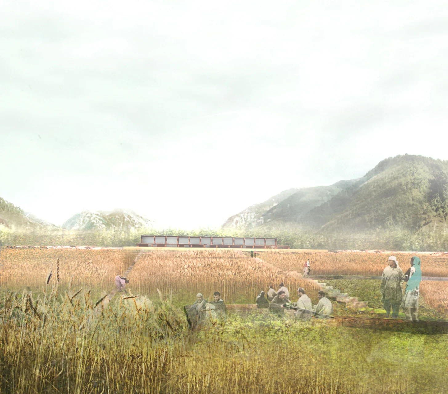 Figure 14. Gardens and fields adjacent to the shared border building.