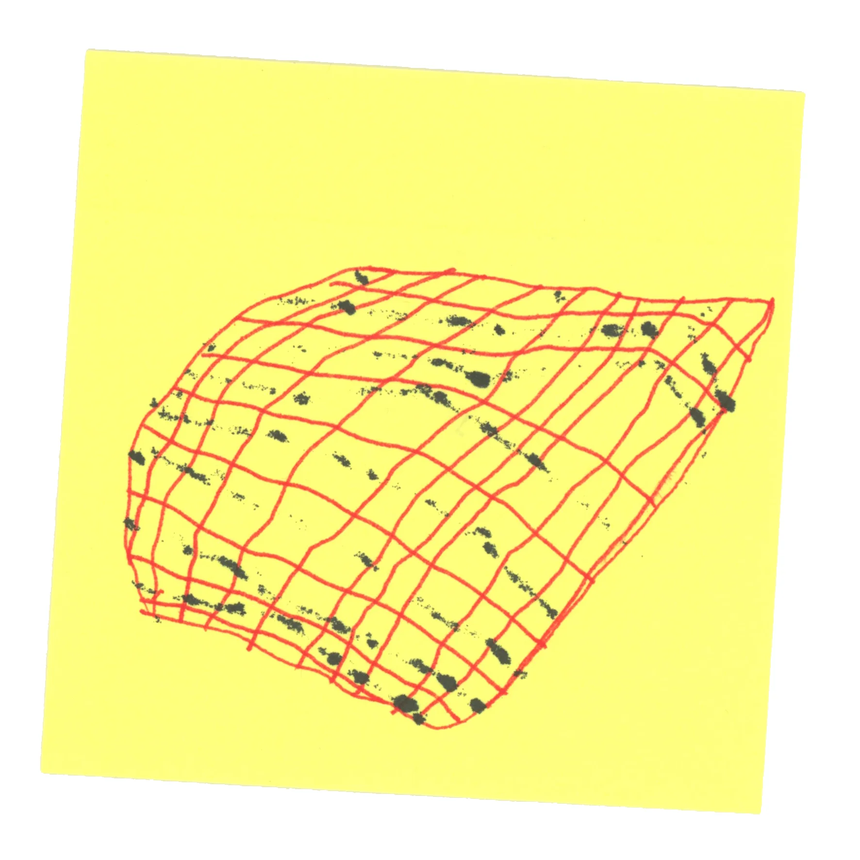 Image 05