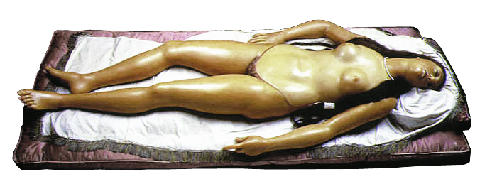 Image 16 / Clemente Susini, Anatomical Venus, “open” position, 1782. Wax anatomical model. La Specola, Florence