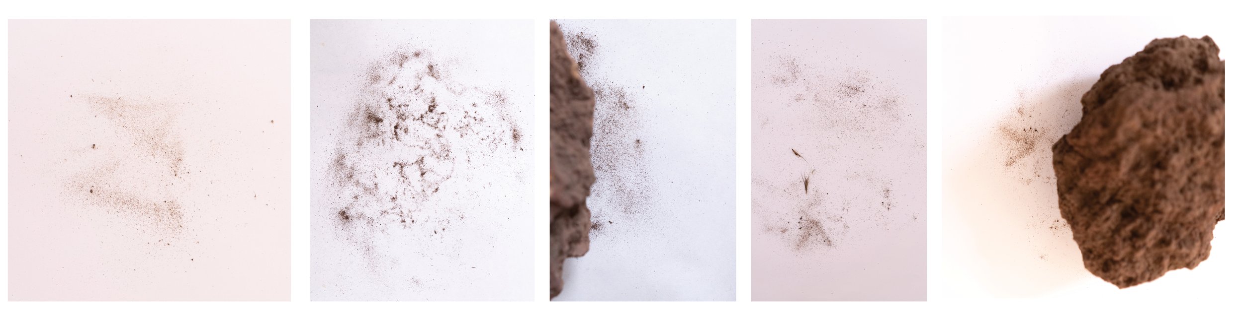 Temporal Displacement and the Memory of Soil