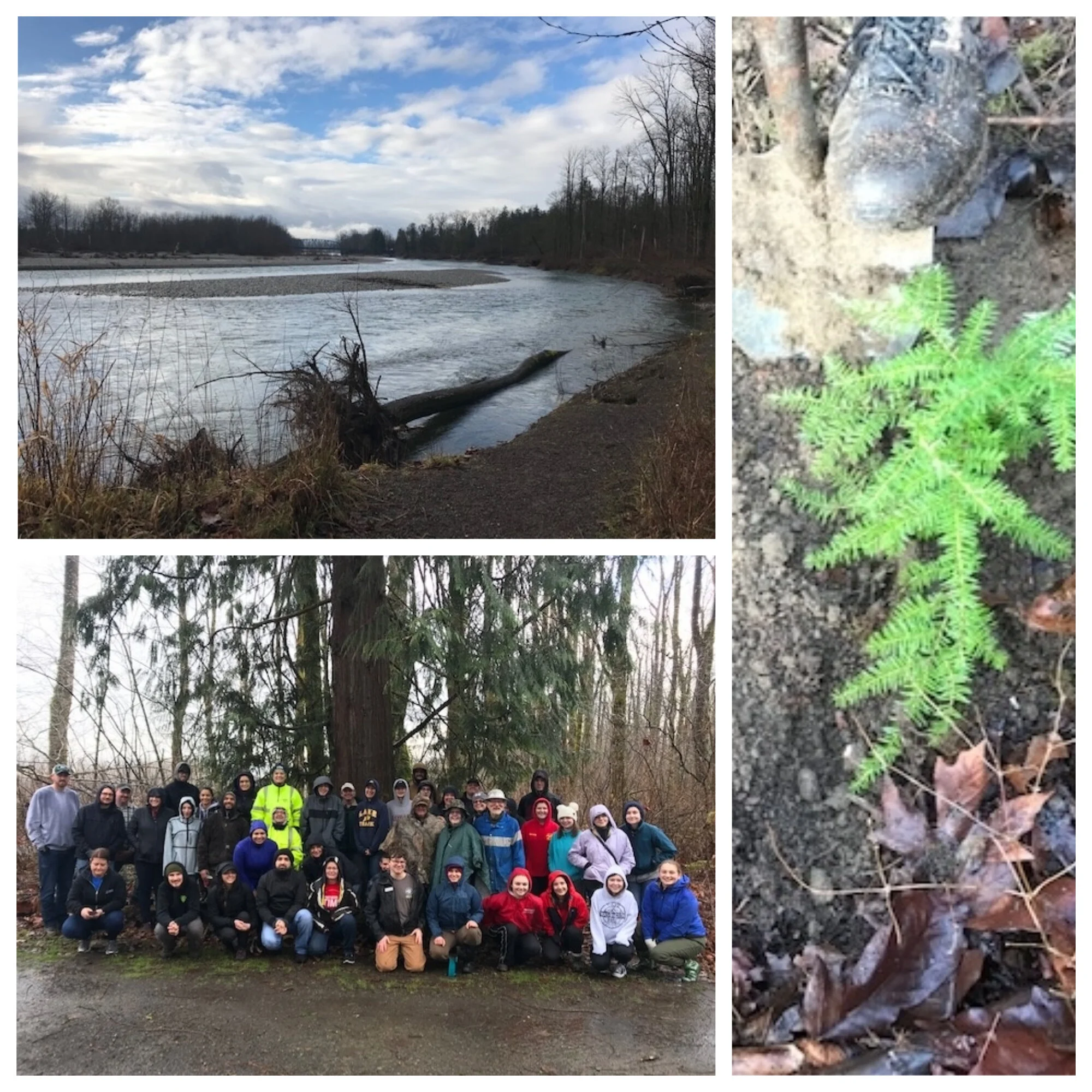 Volunteer Event - Plant Trees to Save Salmon MLK Day