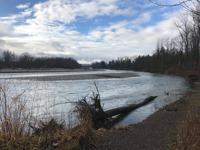 Volunteer Event - Plant Trees to Save Salmon