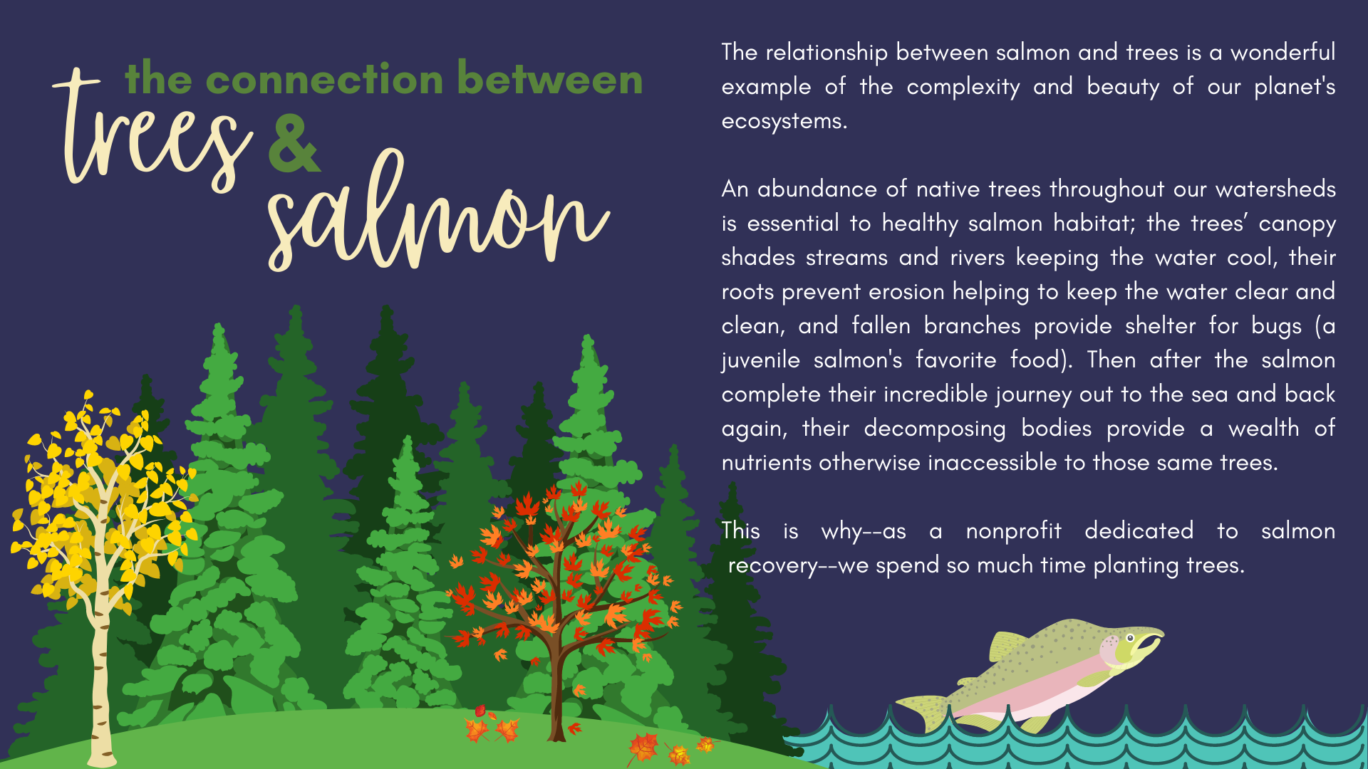 Plant Trees to Save Salmon! Volunteer Event