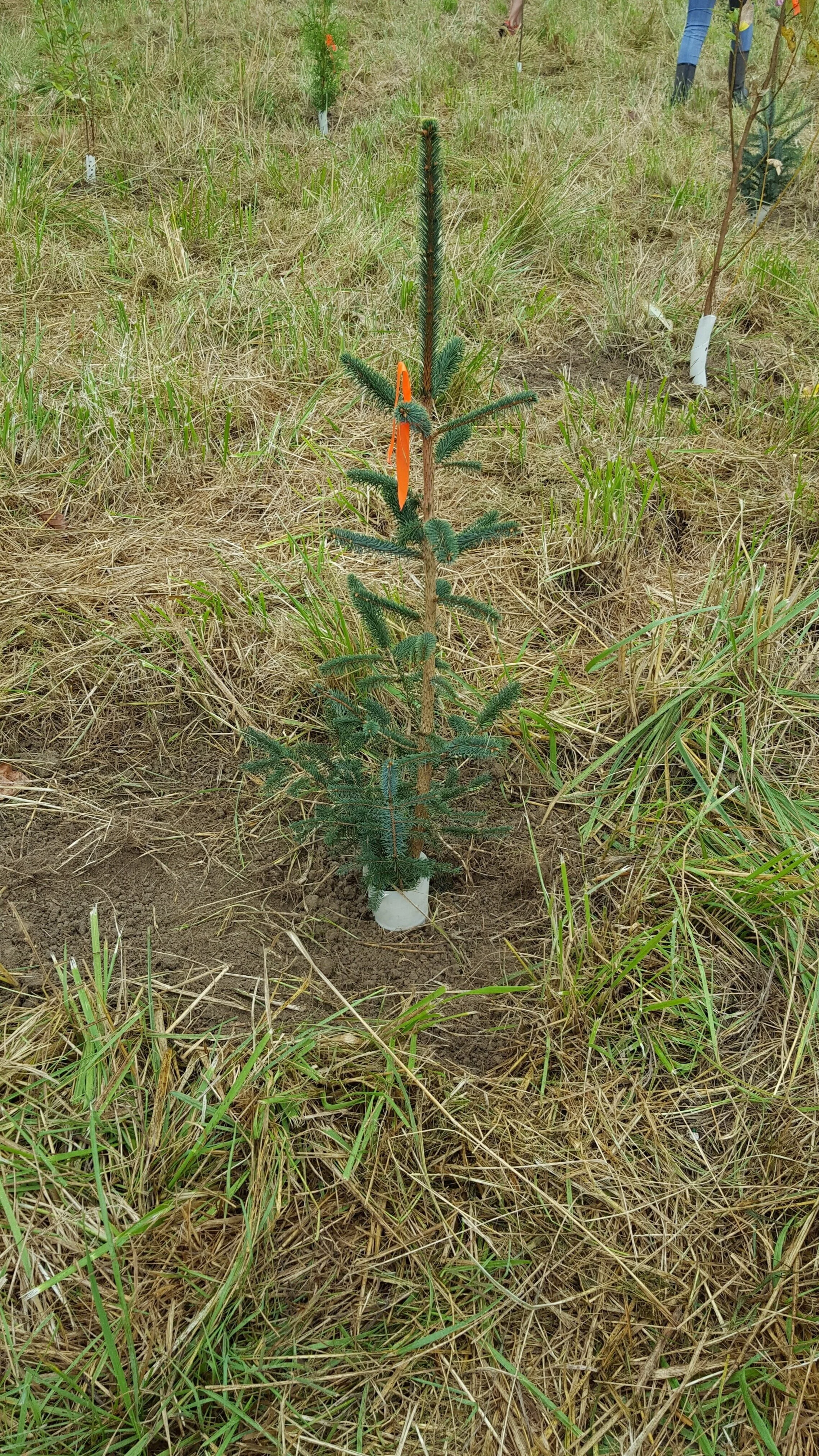 Volunteer Event - Stillwater Wildlife Area