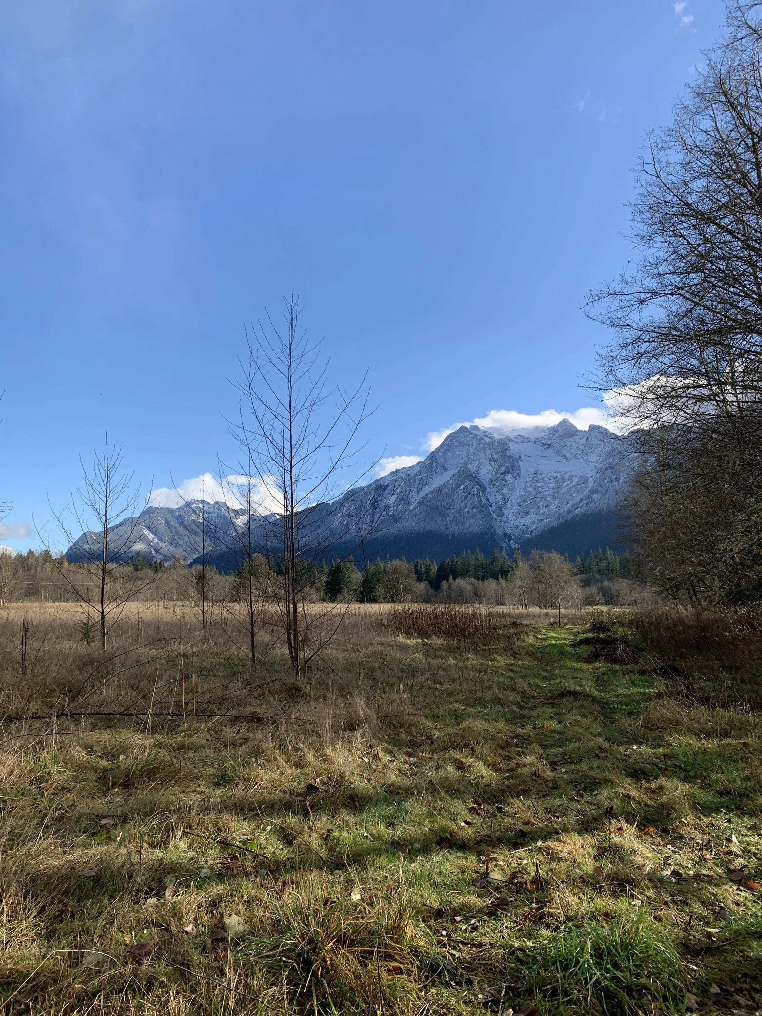 Volunteer Event - Arlington