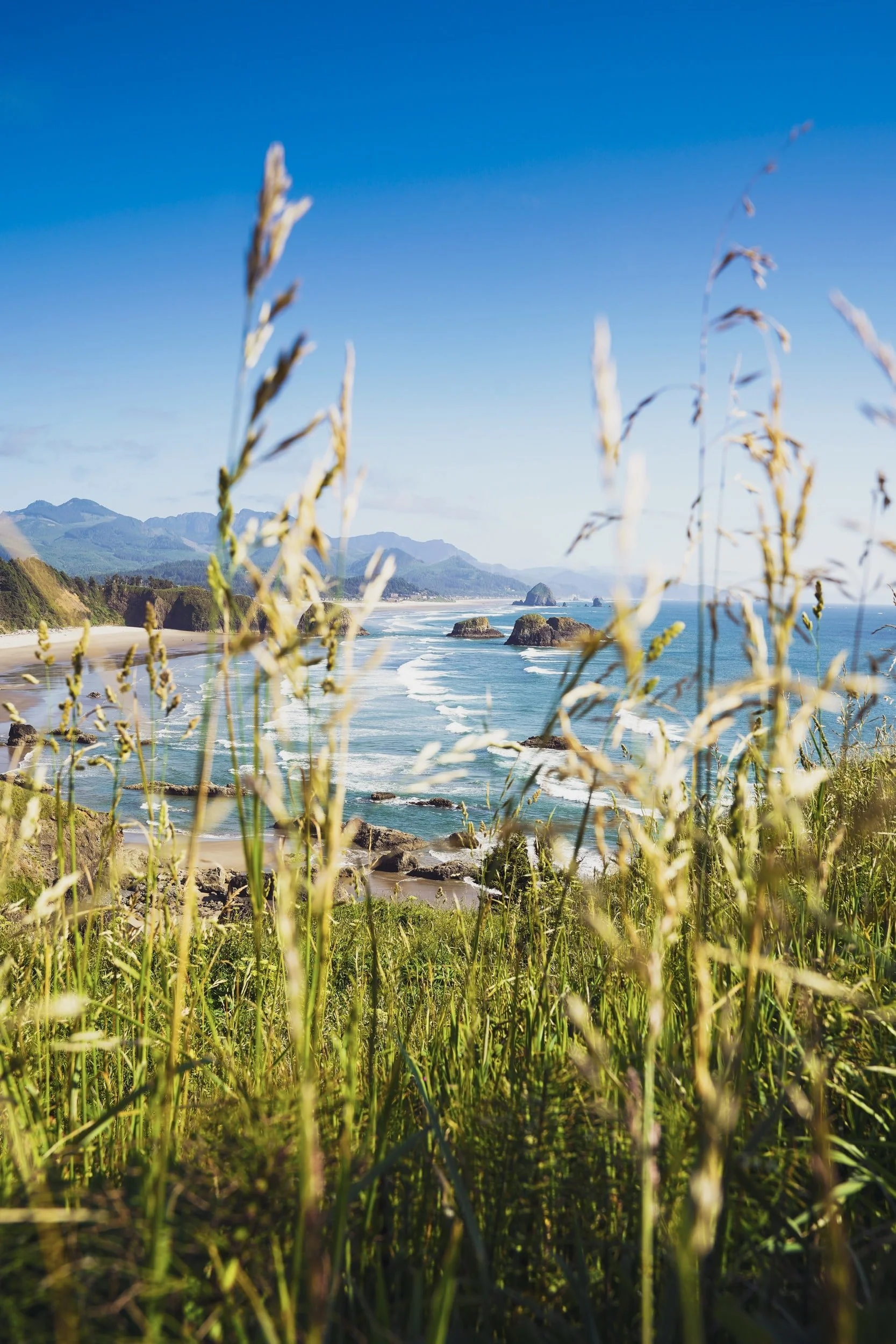 Earth Day Marina Beach Park Clean-Up