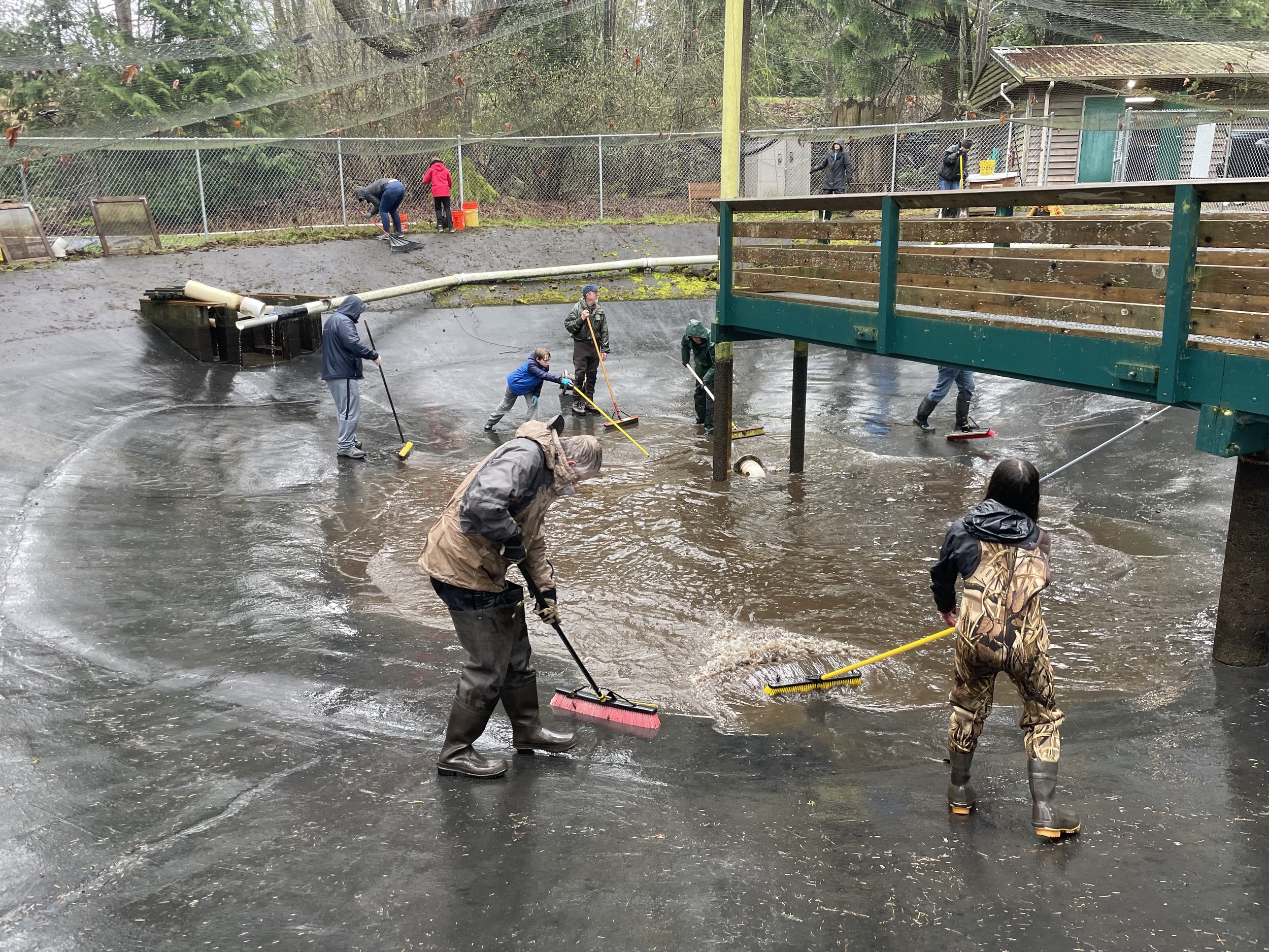 Volunteers helping to clean the pond