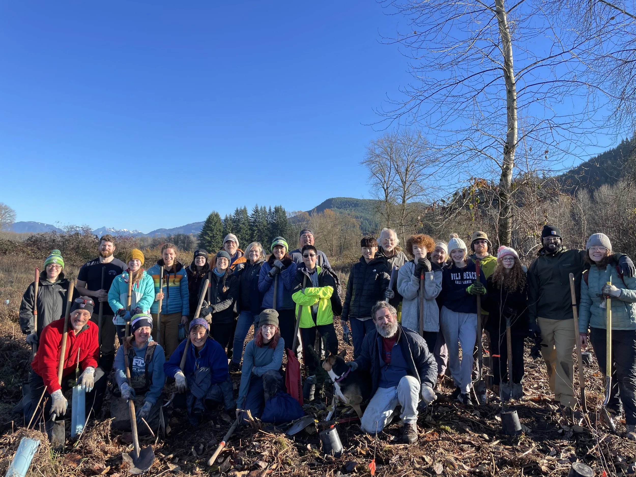 MLK Day of Service Planting Trees for Salmon