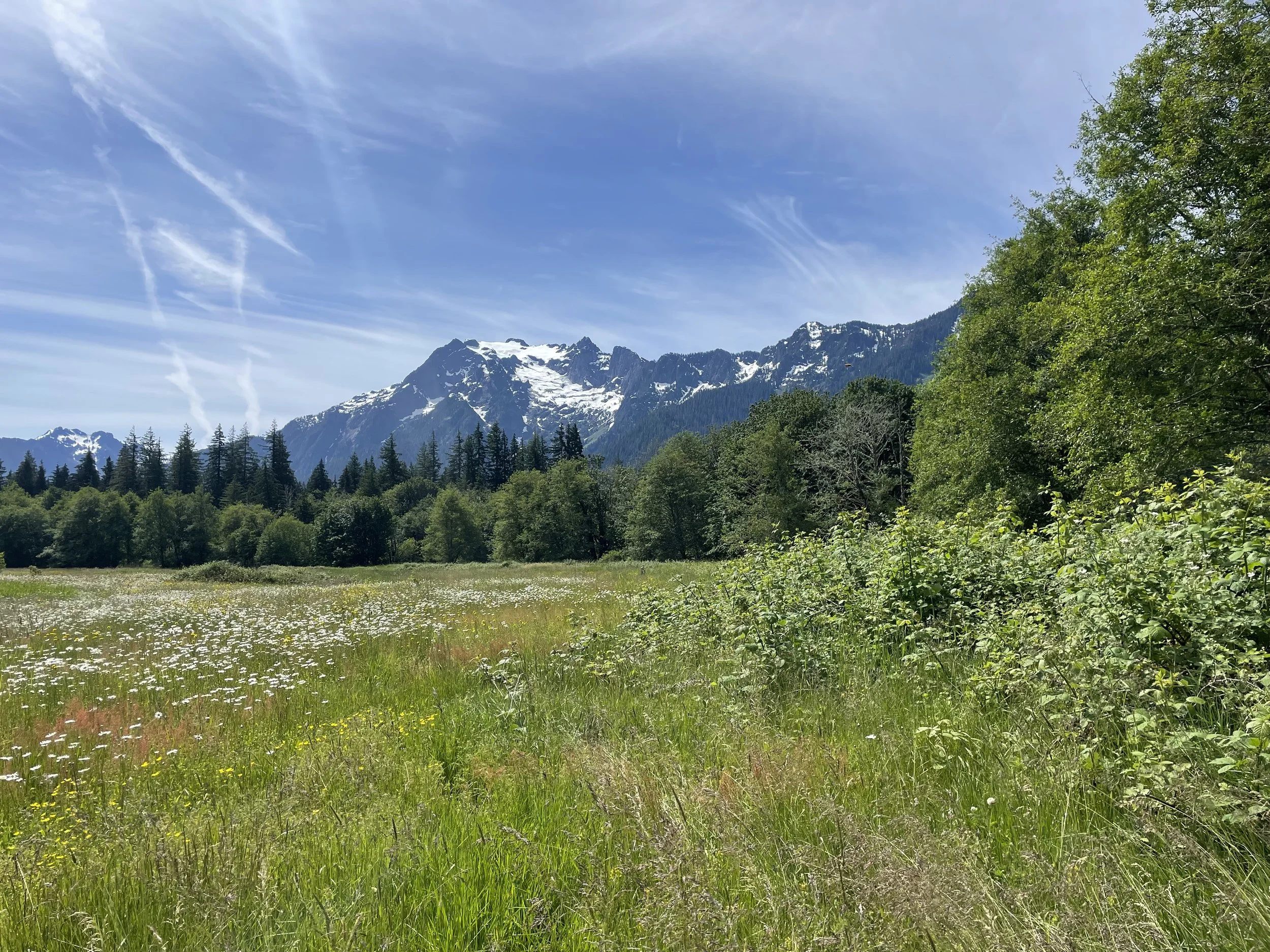 Reciprocity Day on the Stillaguamish River