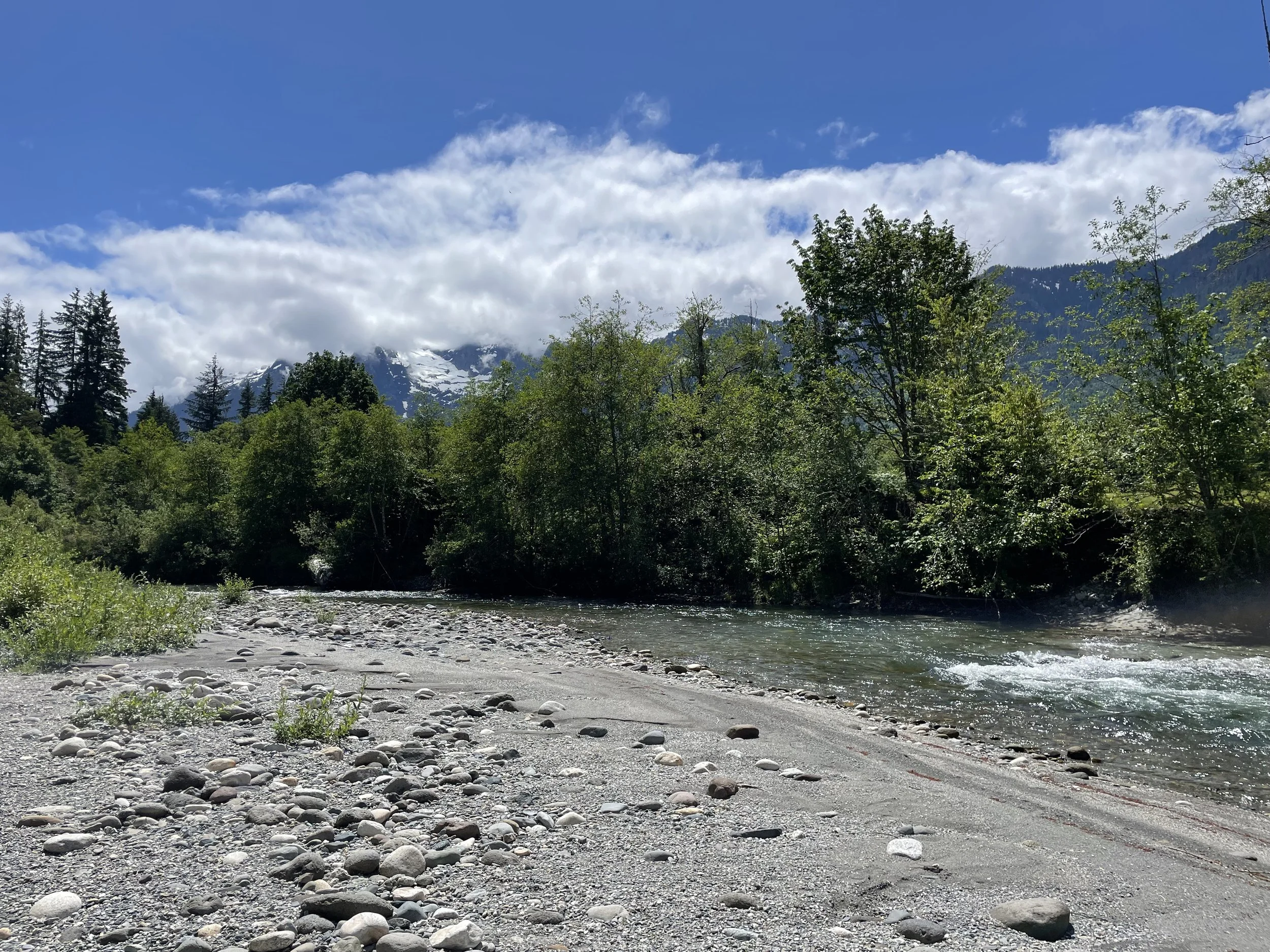 Orca Recovery Day Planting Party