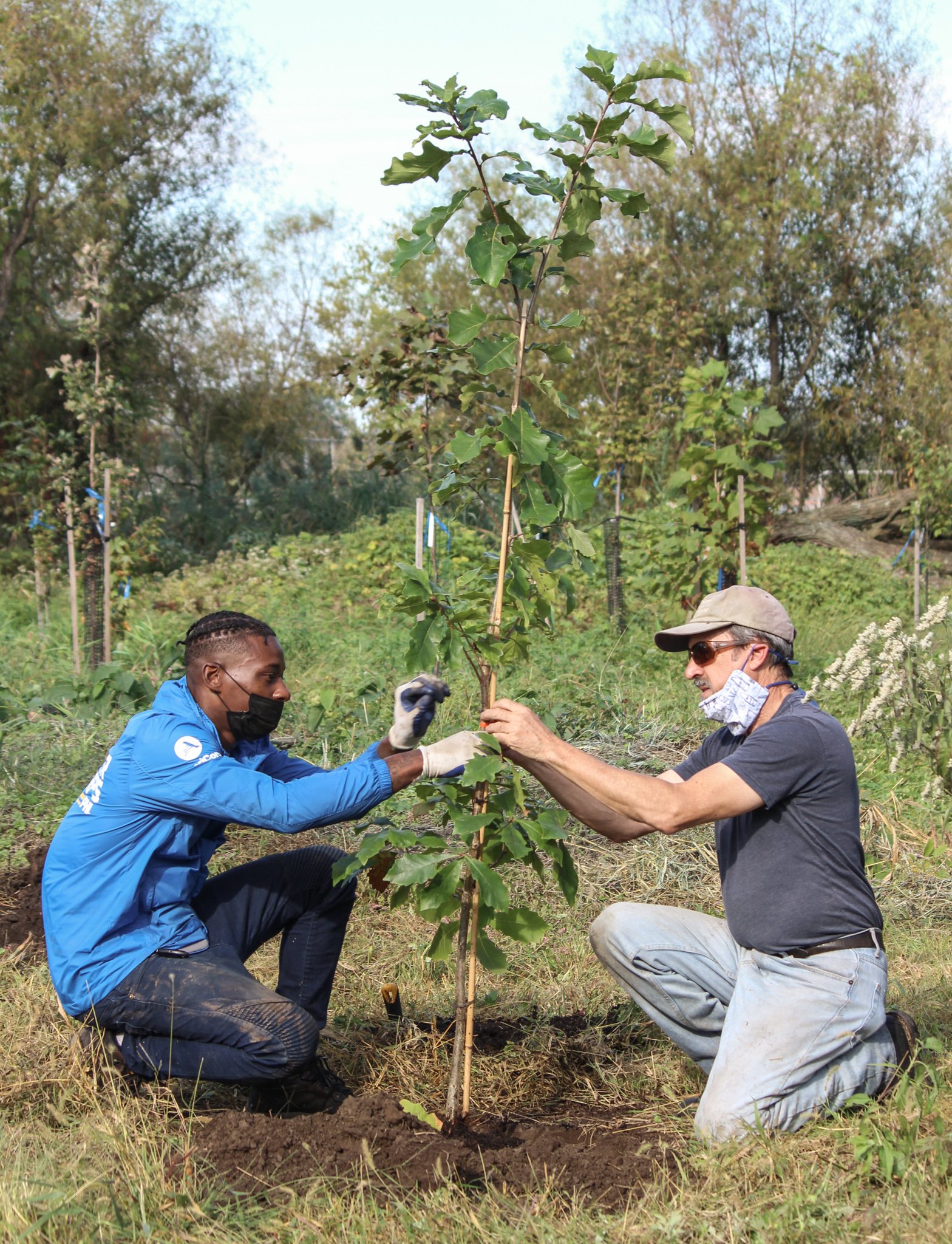 Arbor Day with the Edmonds Stewards