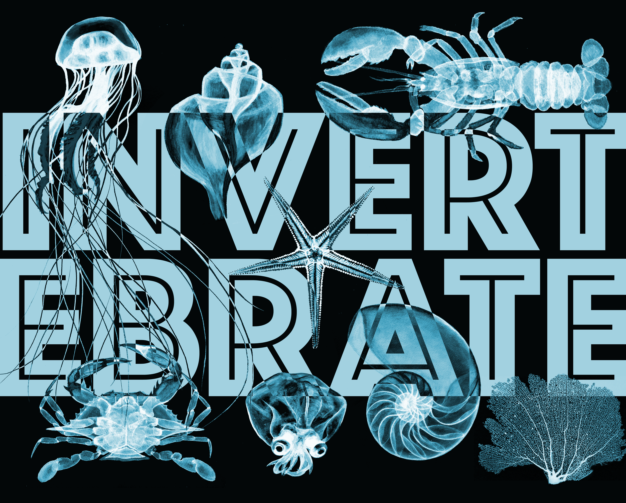 invertebrates2-01.png