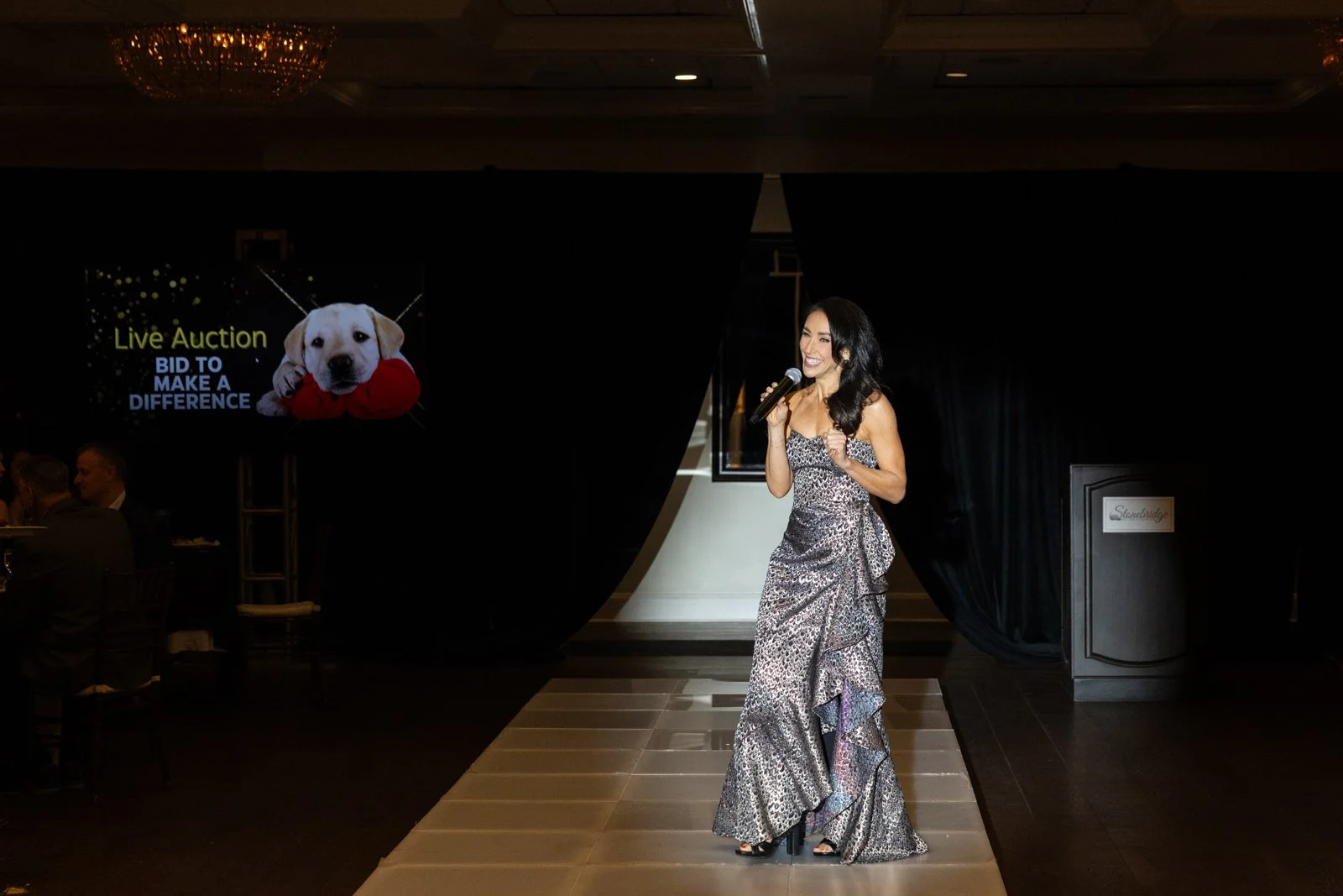 guide-dog-foundation-fashion-stefanie-resnick-fundraising-gala-1.jpg