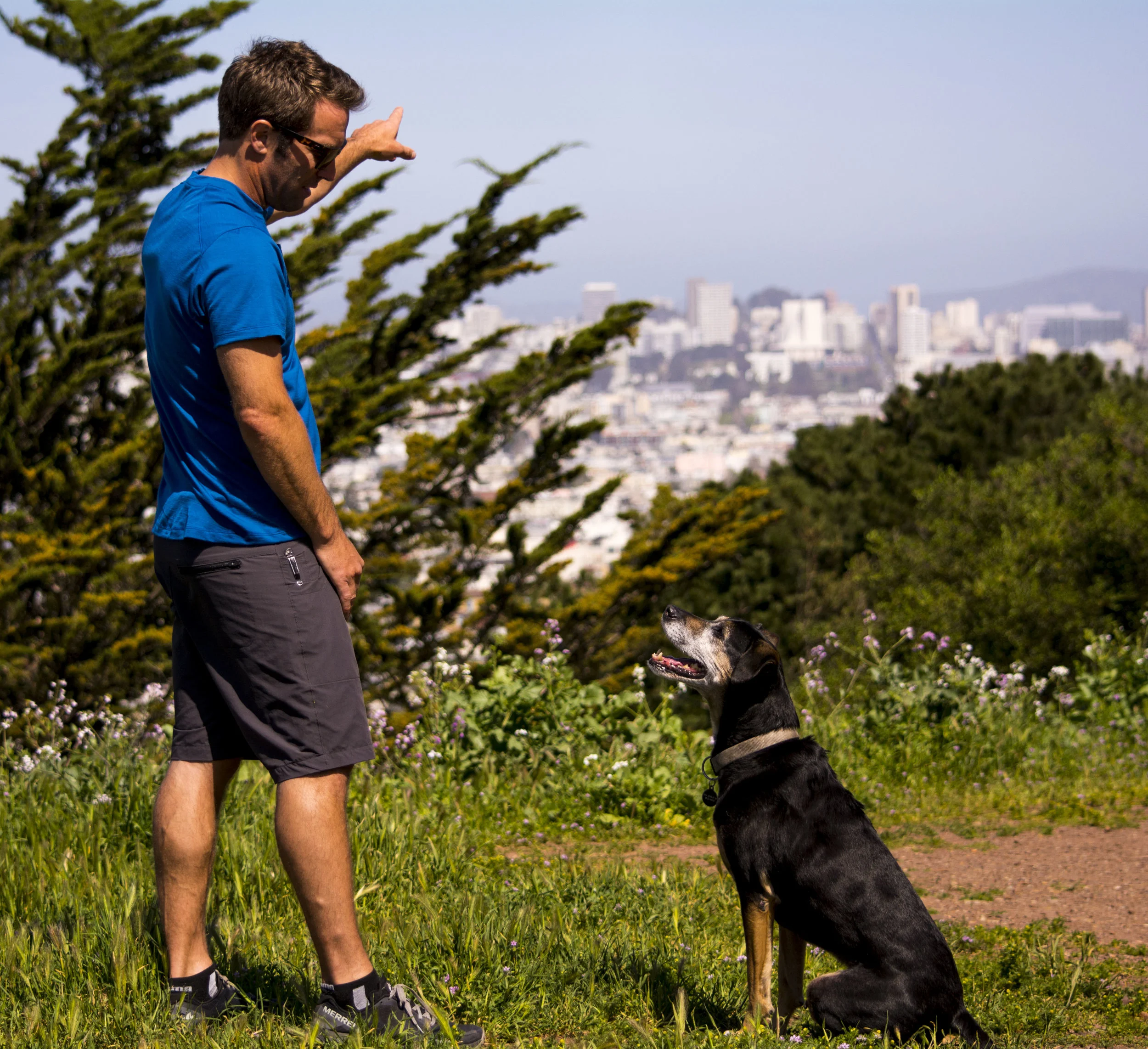 _DSC7470.jpg