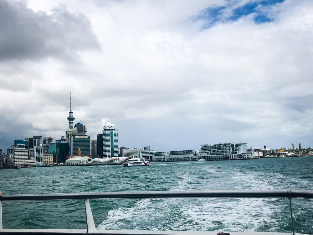 Auckland ferry.jpg