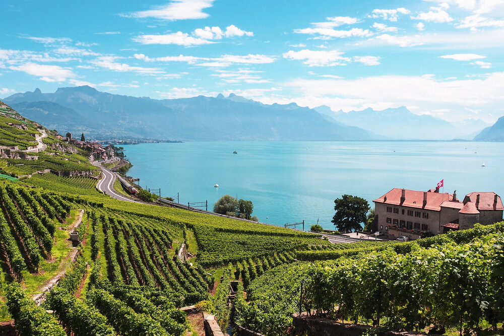 Lavaux-Wine-Hike-Switzerland-12_social-2.jpg