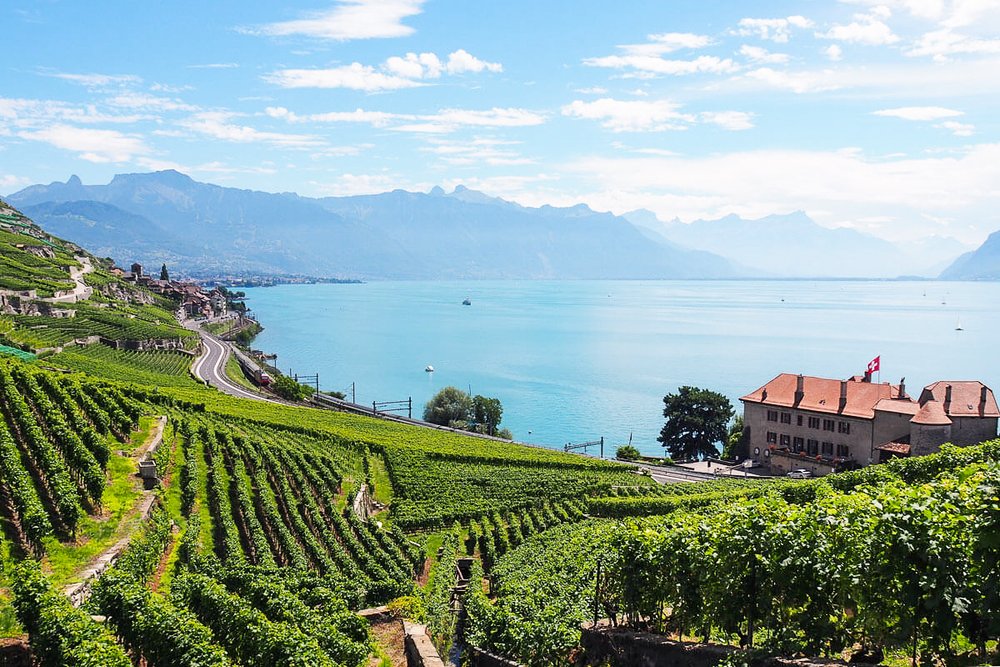 Lavaux-Wine-Hike-Switzerland-12_social.jpg