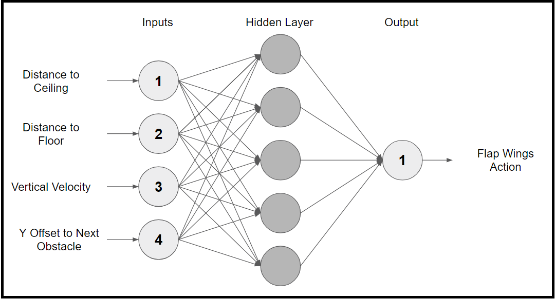 A visualization of the bird agent neural network. The hidden layer is generated and its goal is to transform the inputs into the outputs.