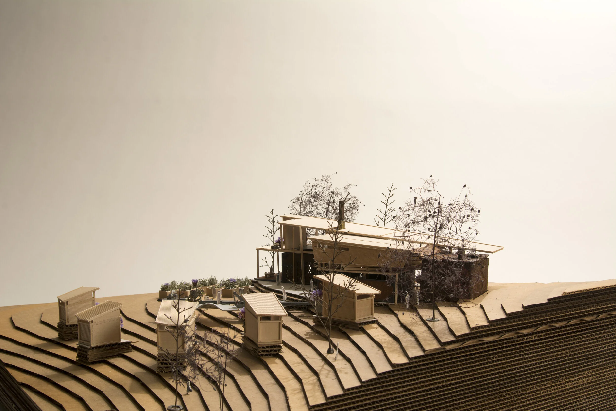 final model11.jpg