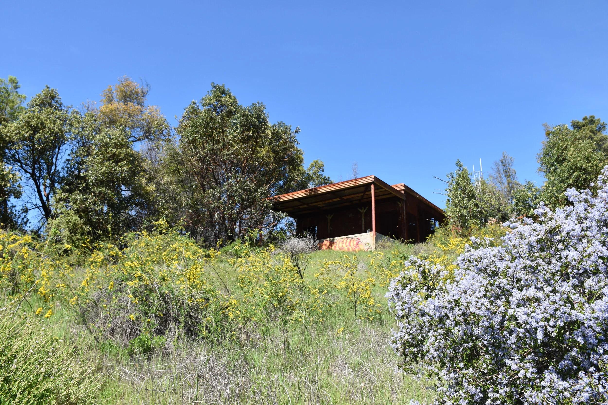 tin house.JPG