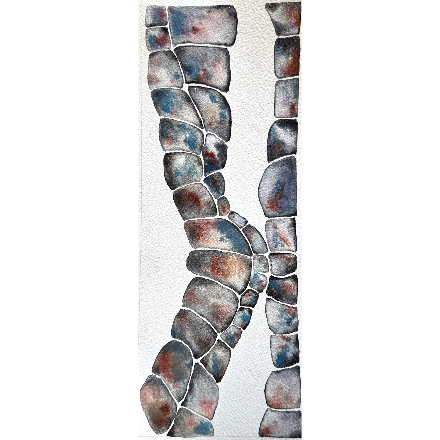 spine tides.png