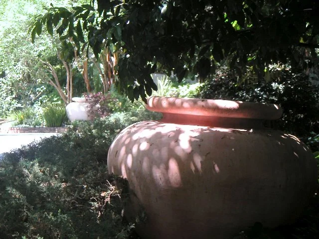 PICT0015_640x480.jpg