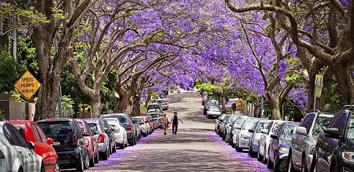 New neighbourhood