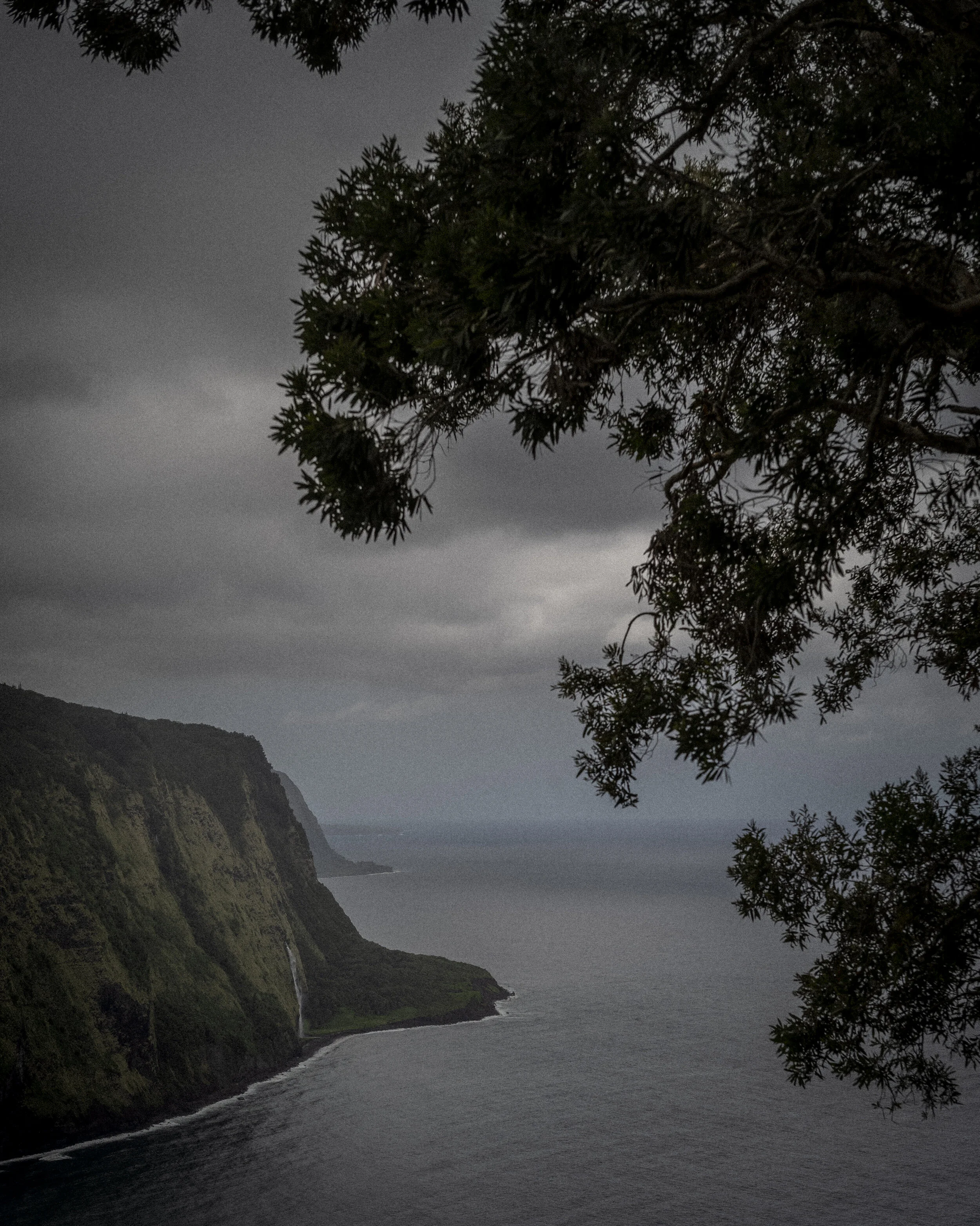 Big Island.jpg
