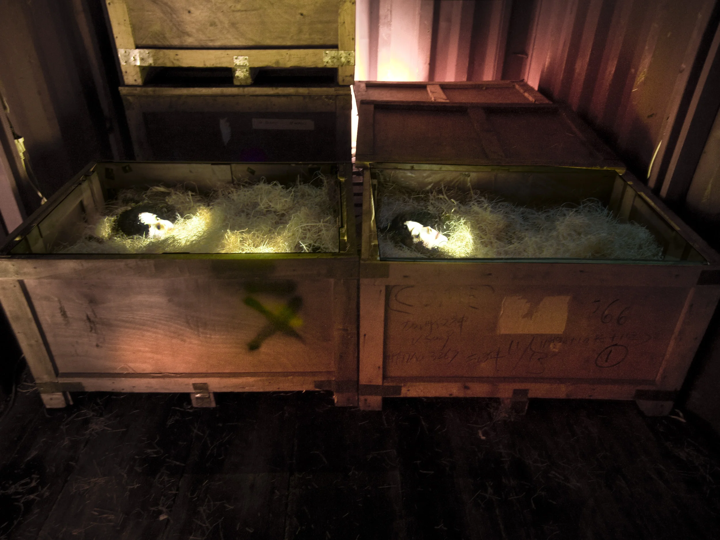 Cargo