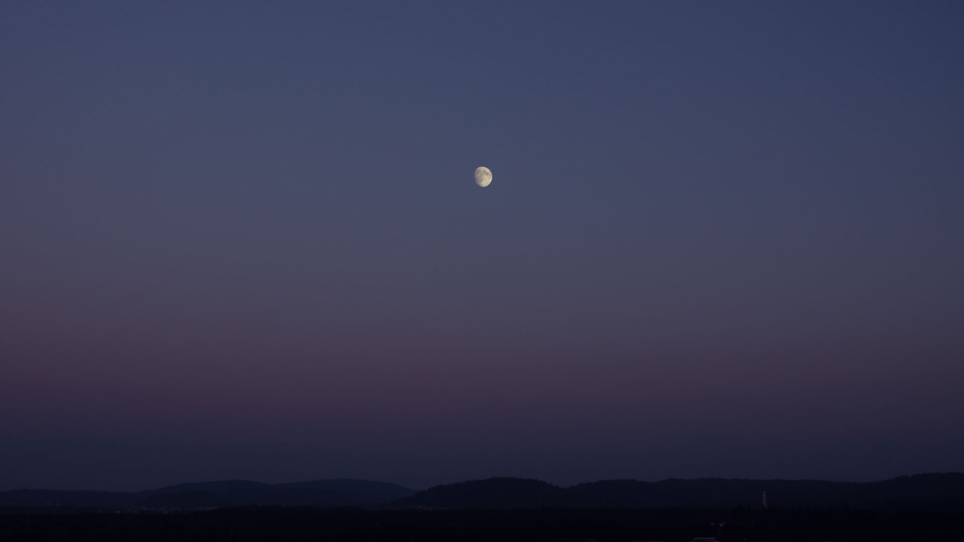 P1030363-web.jpg