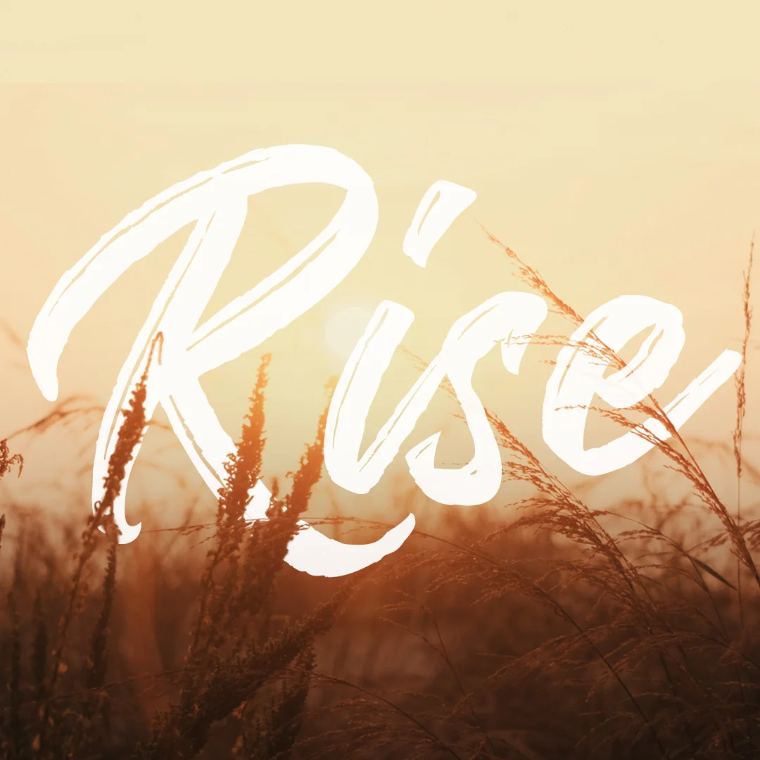 Rise_Instagram.jpg