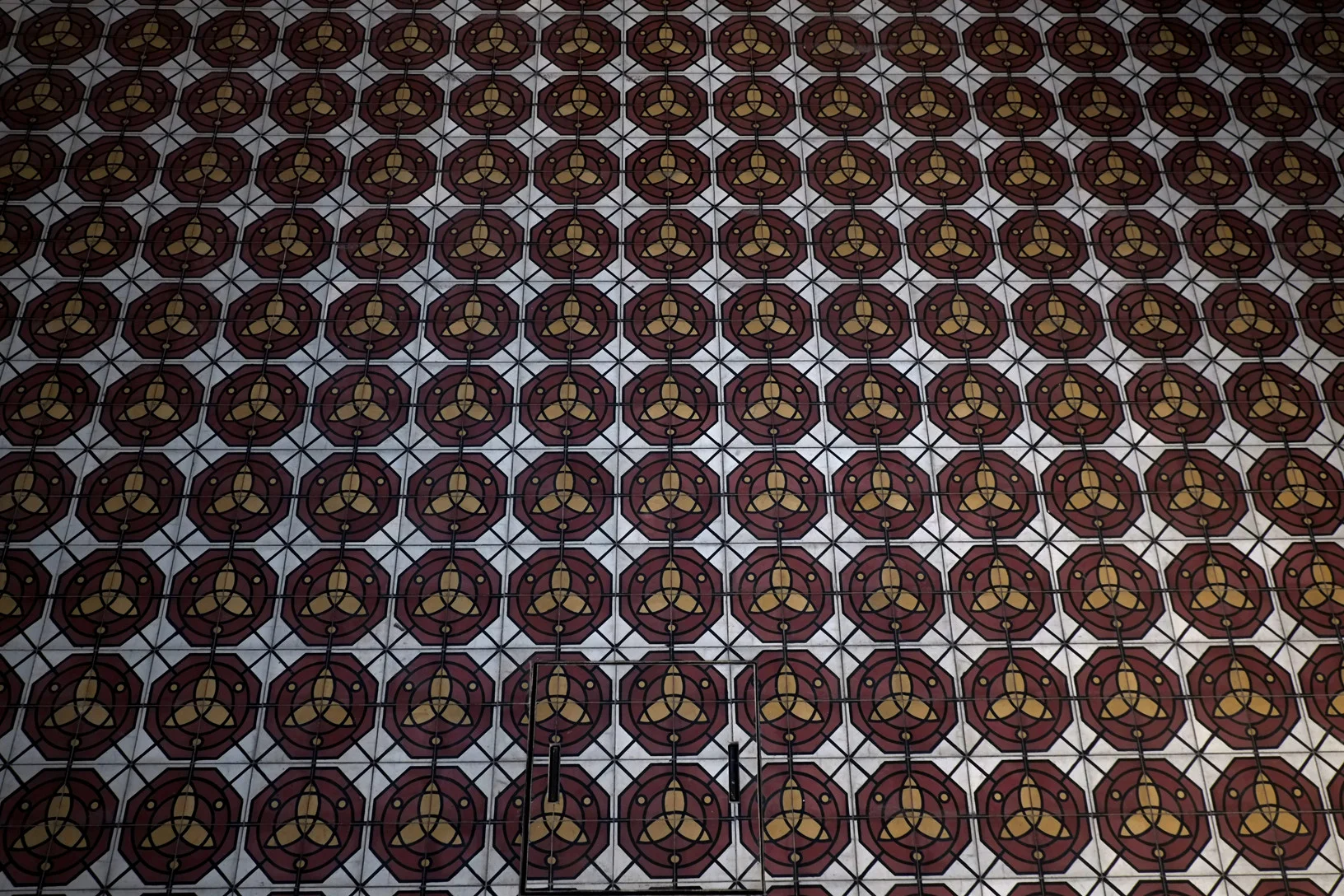 DSCF7555.jpg