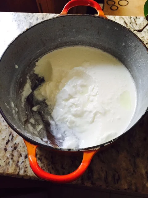 MAGIC! REAL YOGURT!!! How about that! Get out the honey or the jam and yum away!