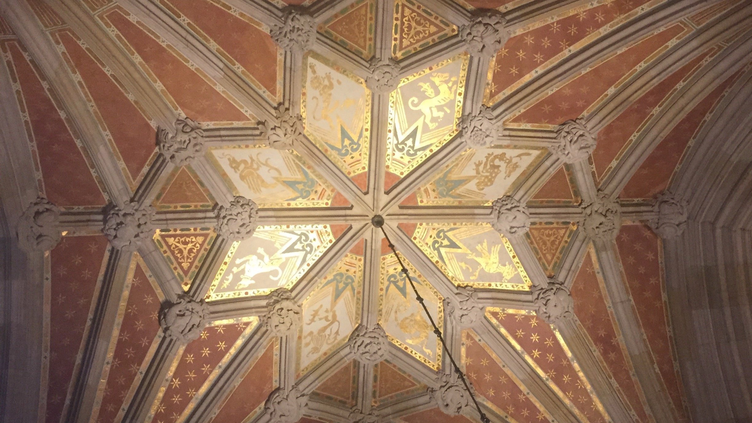 IMG_9040.jpg