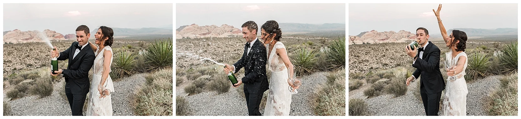 Las Vegas Elopement | Wedding Photos at Red Rock Canyon National Park| photo by Lindsey Ramdin, L.A.R. Weddings