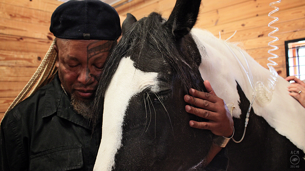 Ahura Z, "The Unicorn" does a healing session with a horse he has become close to while filming his sci-fi film who has suddenly become gravely ill. 