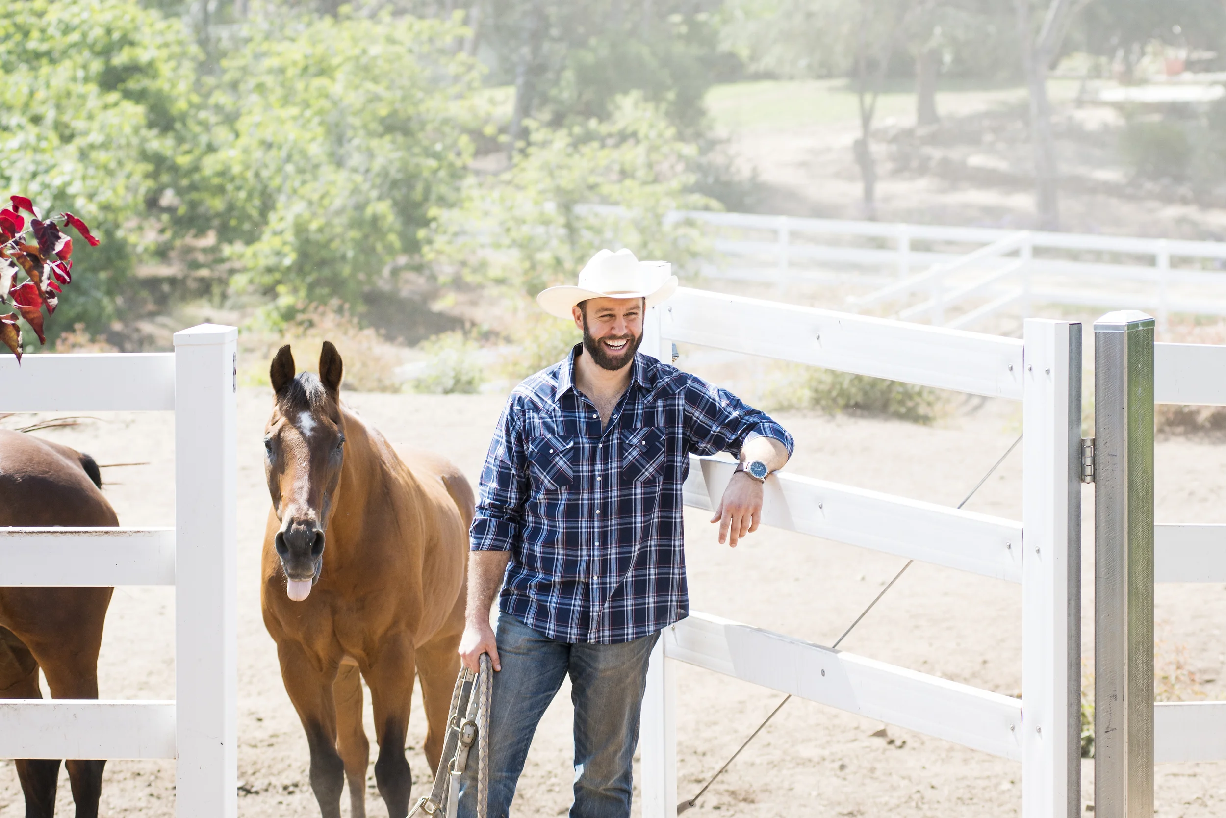 Pokey, or "big man," is a 28 year-old gelding in retirement. Pokey and Emma rode trail side by side for a decade, until Emma found a new home. When Pokey's family learned Emma ended up at SDFAR to pasture, they wanted nothing more than to reunite the two lovebirds. A classic American love story. Now, Pokey and Emma will live out their golden years in a safe and healthy home.