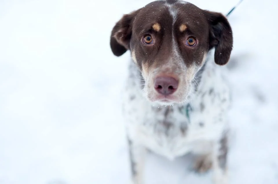 Reflections and Resolutions 