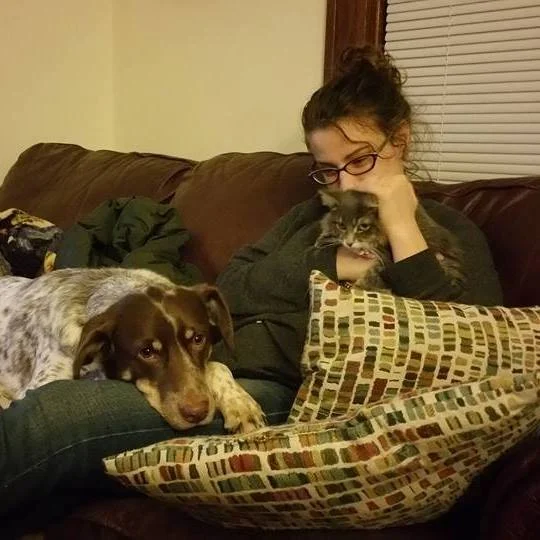 Inspiration from Pets