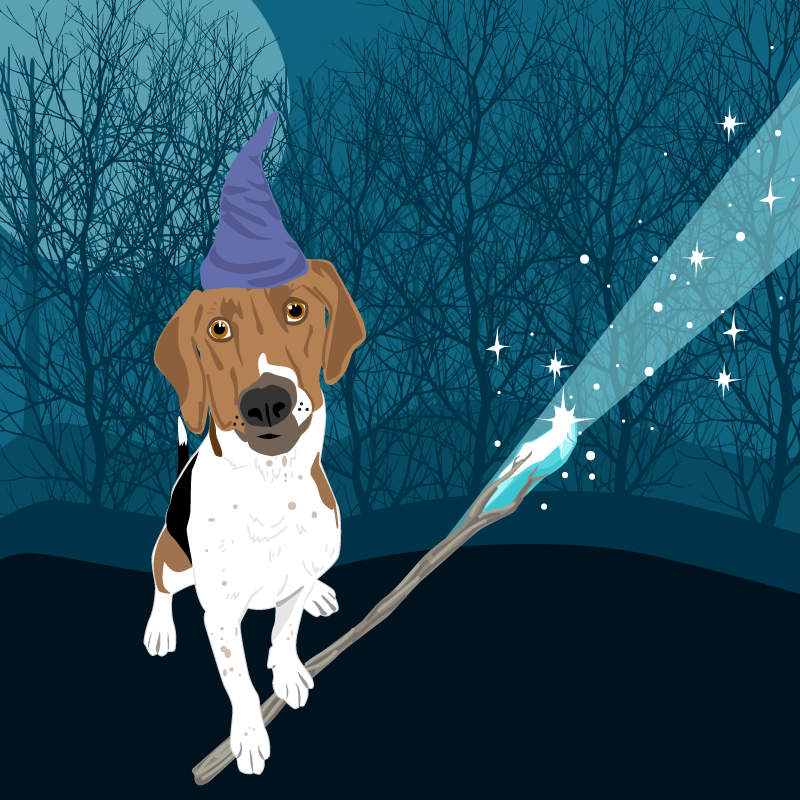 Enchanted Animal: Nathan