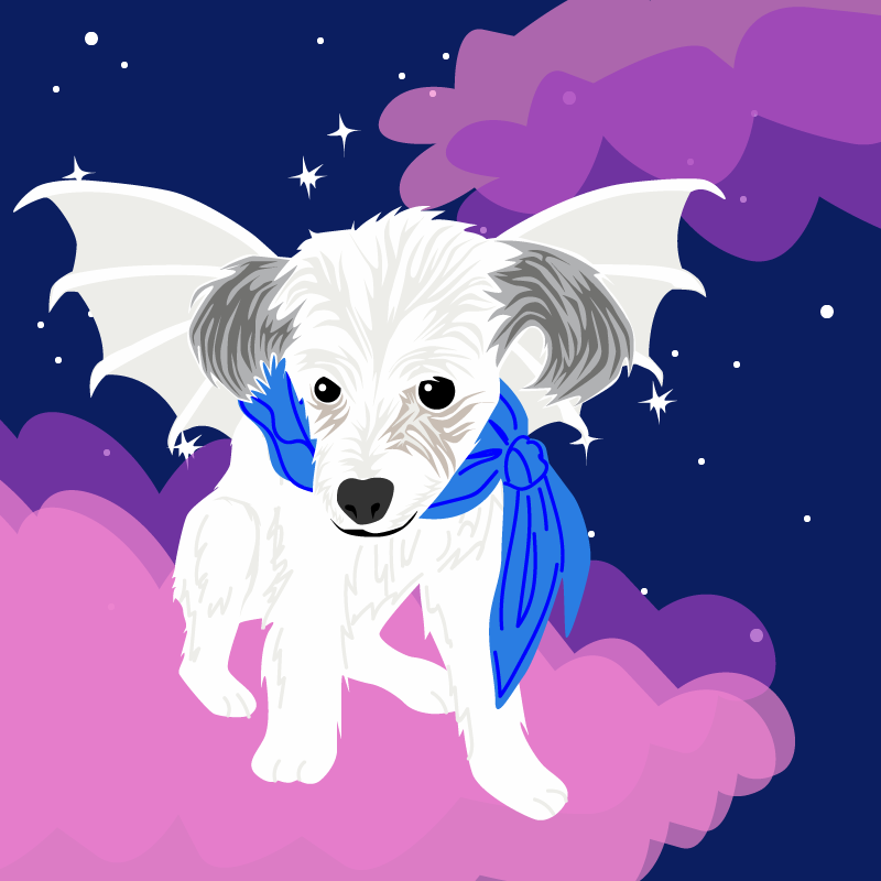 Enchanted Animal: CJ