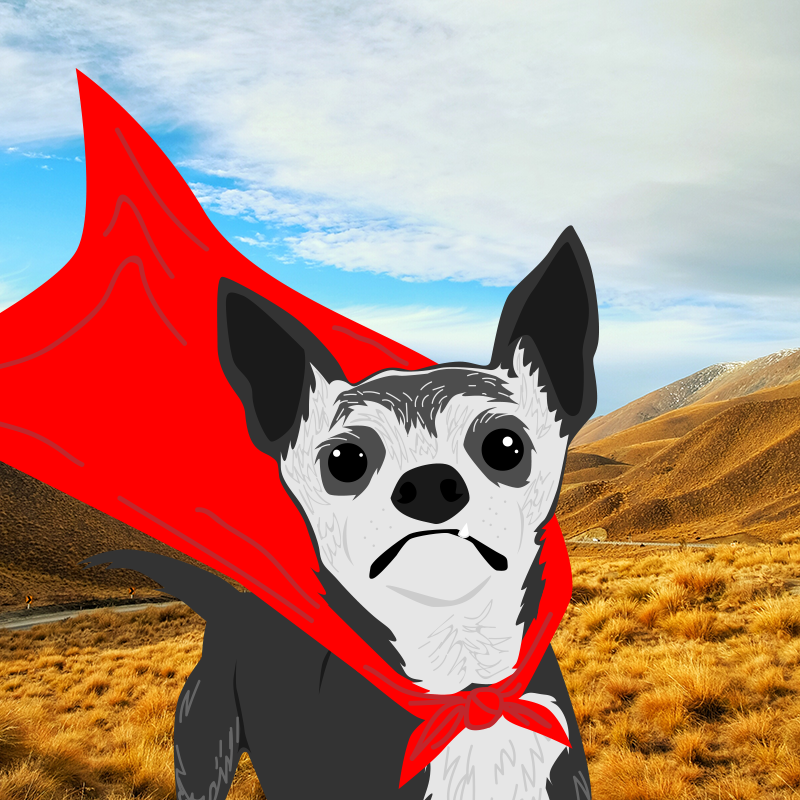 Enchanted Animal: Noah