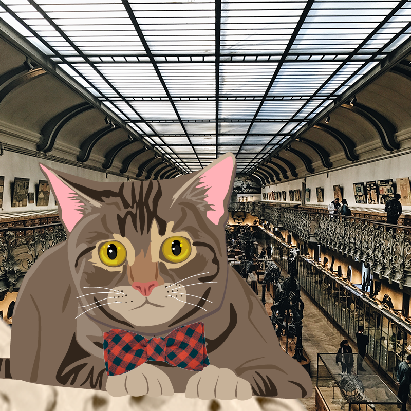 Enchanted Animal: Ross