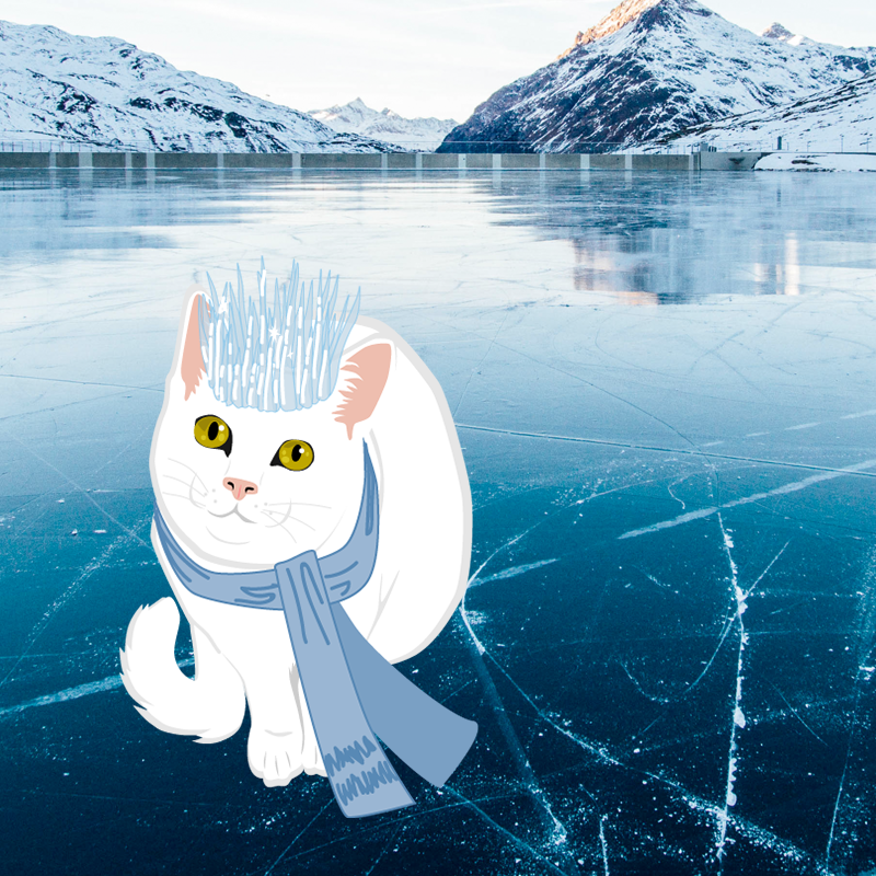 Enchanted Animal: Winter