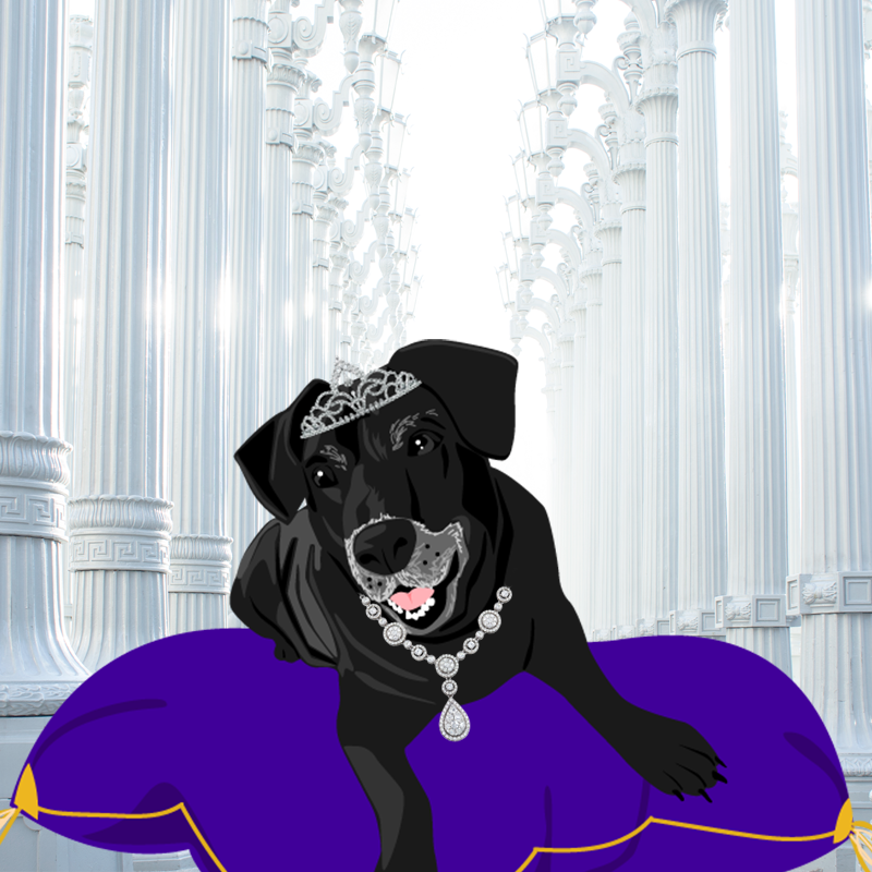 Enchanted Animal: Sandy