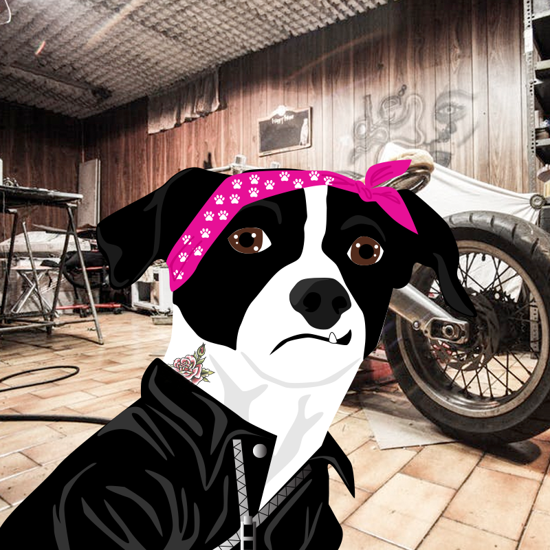 Enchanted Animal: Baby Girl