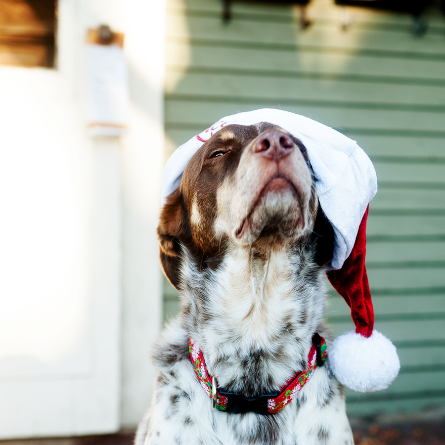 santabullett2.png