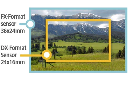 Diagram from Nikon