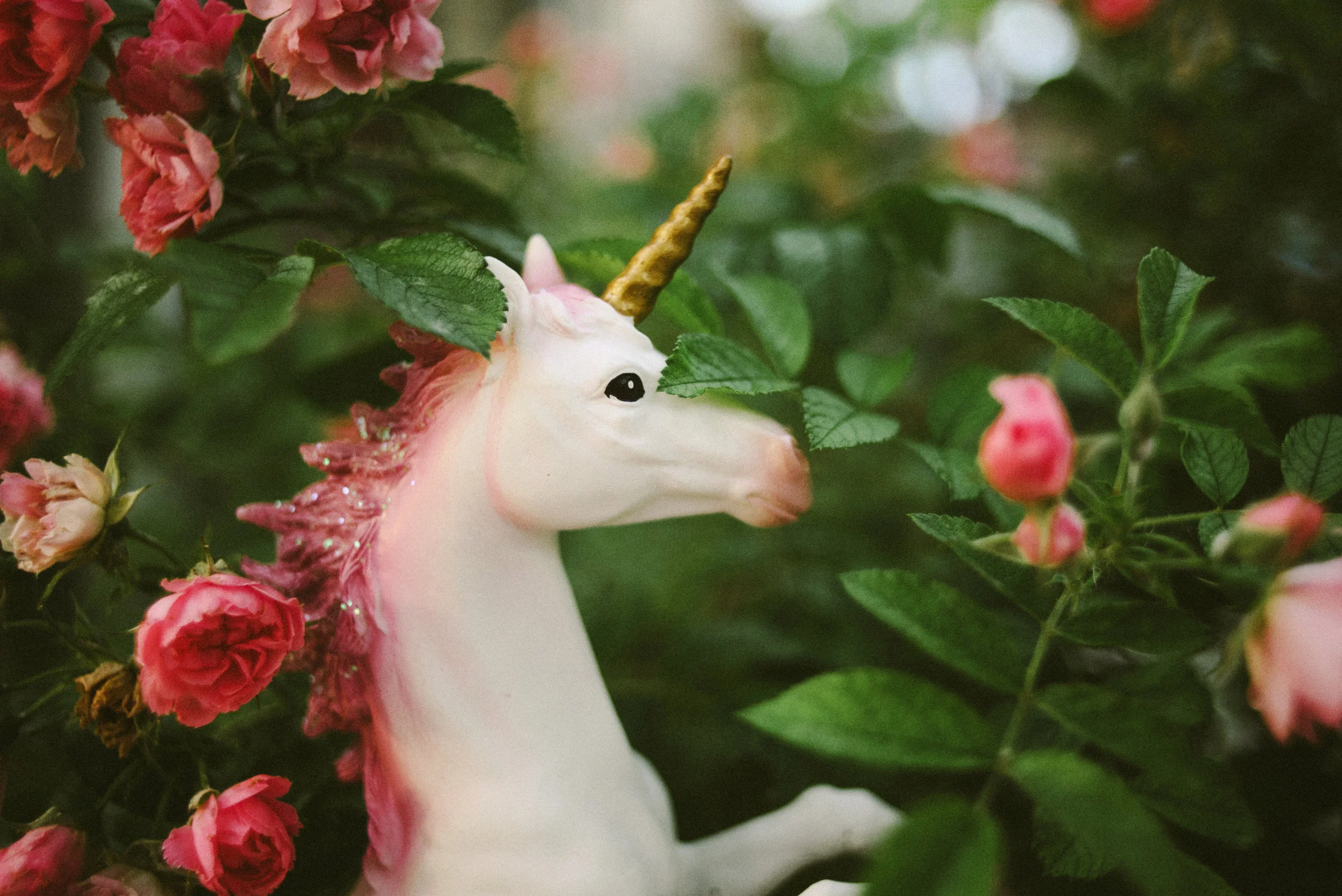 It might look like Cupcake the Unicorn is in a magical fantasy land, but in fact this is just in our neighbor's bushes!