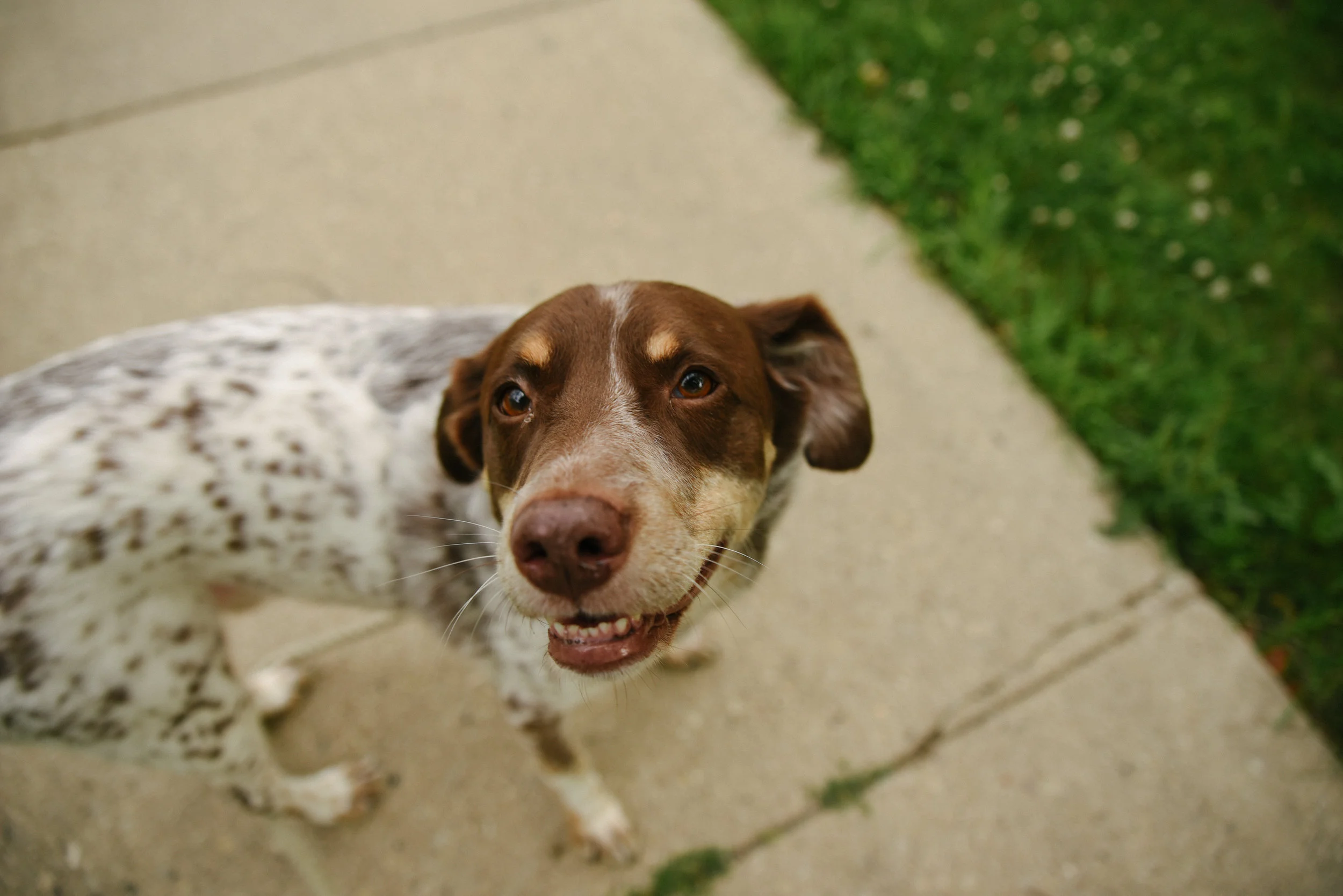 Smile and say "TEEFS!" 